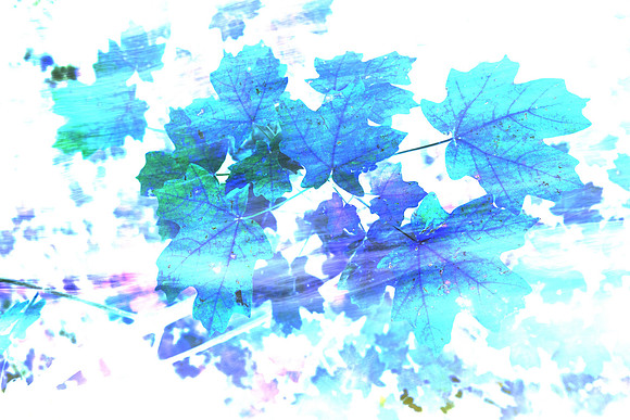 Blue Whispers