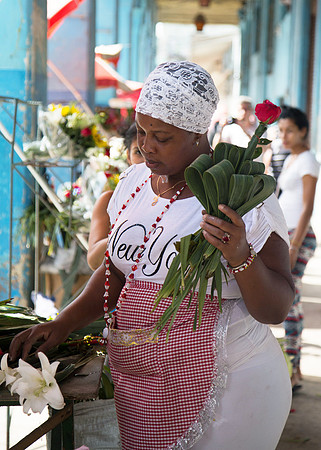 Flowers for Sale