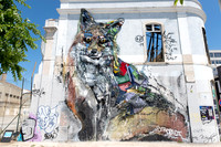 Recycled Art