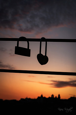 Karen_Wright_Locks of Love