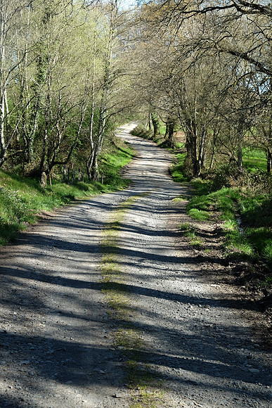 DSCF1741