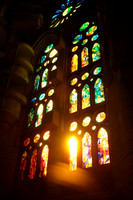 DSCF8655