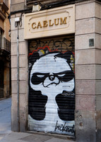 DSCF0121_angry panda_Barcelona_5x7