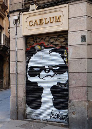 DSCF0121_angry panda_Barcelona_5x7