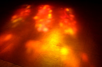DSCF8828