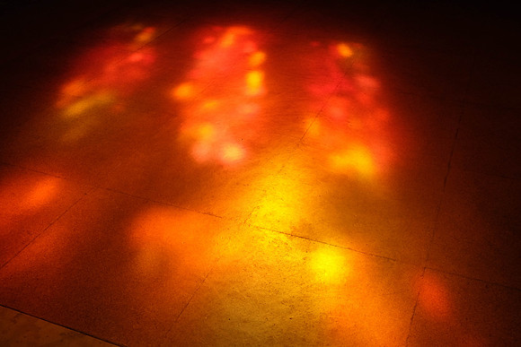 DSCF8828