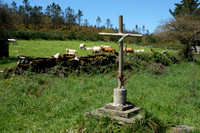 DSCF1662