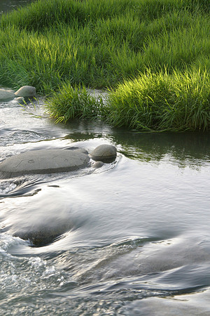 Kamo River