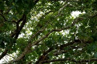 DSCF2619