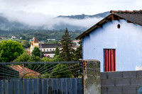 DSCF2291