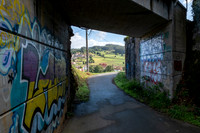 DSCF2309