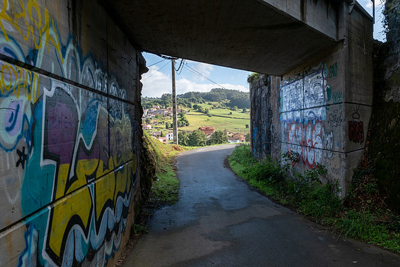 DSCF2309