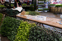 DSCF5362
