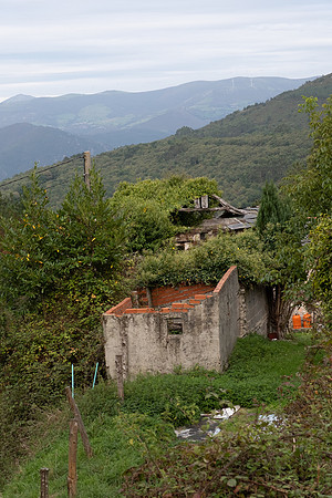 DSCF2736