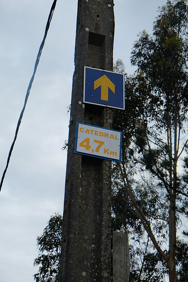 DSCF2338