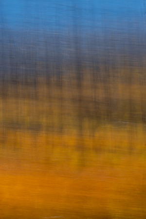 DSCF0421