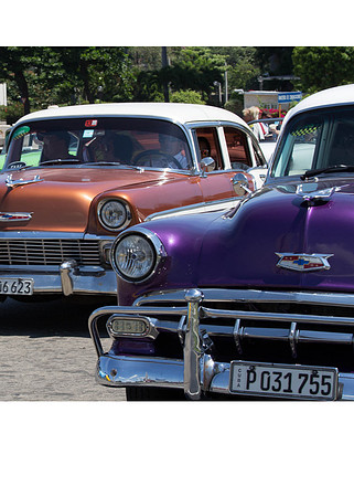Rust and Purple