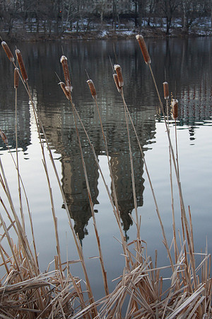 Reflections