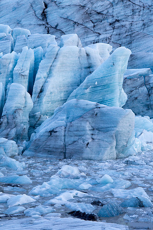 Svinafellsjokull_IMG_1031