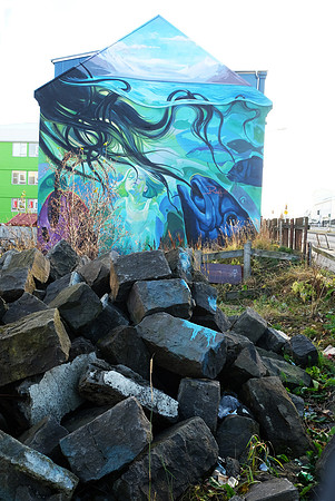 Reykjavik_DSCF5354