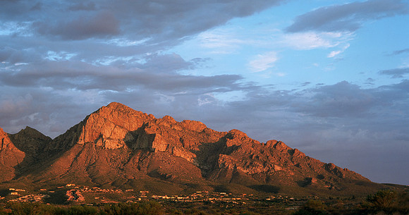 Crimson Catalinas B