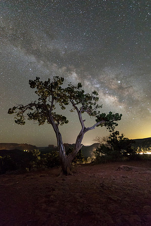 Sedona Sentry