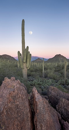 Moonrise