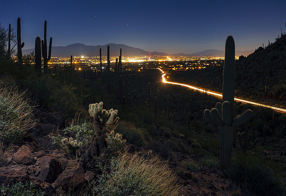 Trails in the Desert