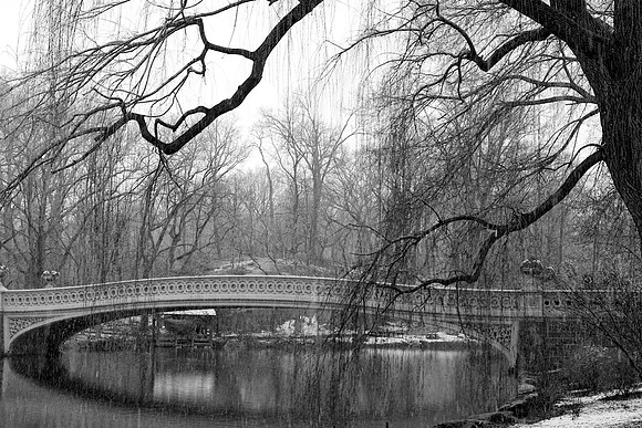 Quiet Solitude