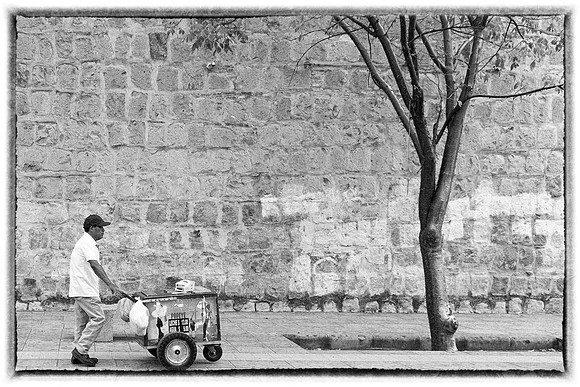 _DSF8965_bw