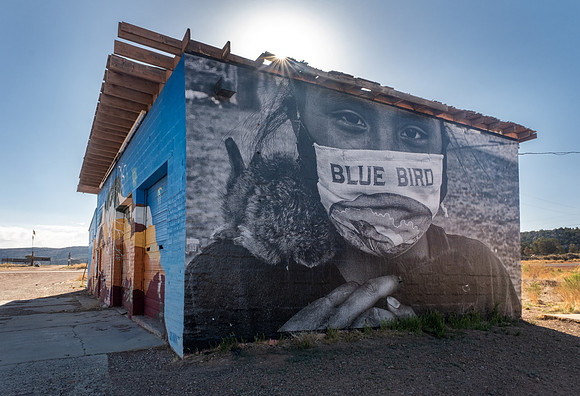 Image 4_Blue Bird