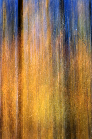 DSCF0416b
