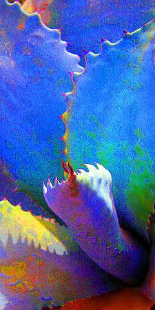 Burst of Color Blue