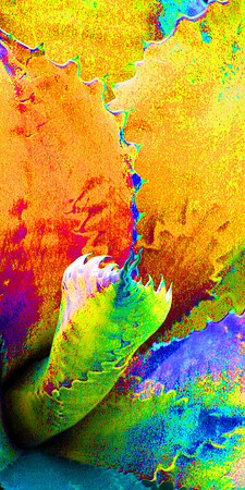 IMG_1527 color b 10x20