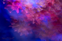 Autumn Blues