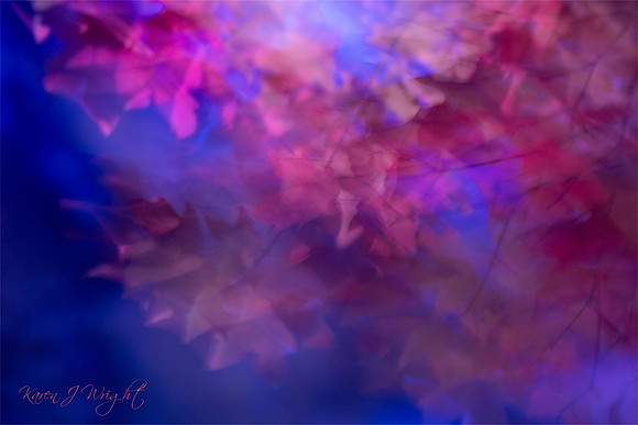 Autumn Blues